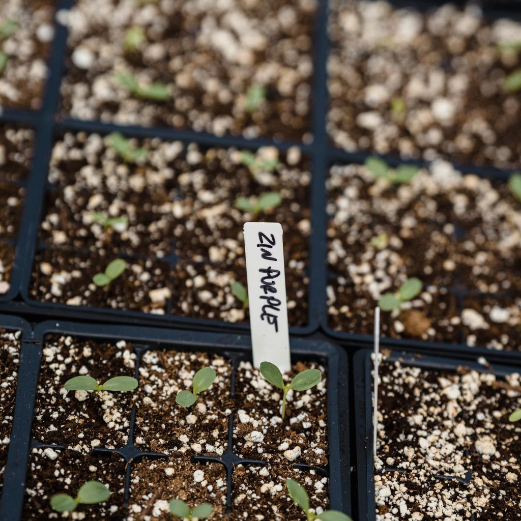 Návrh bez názvu (64)